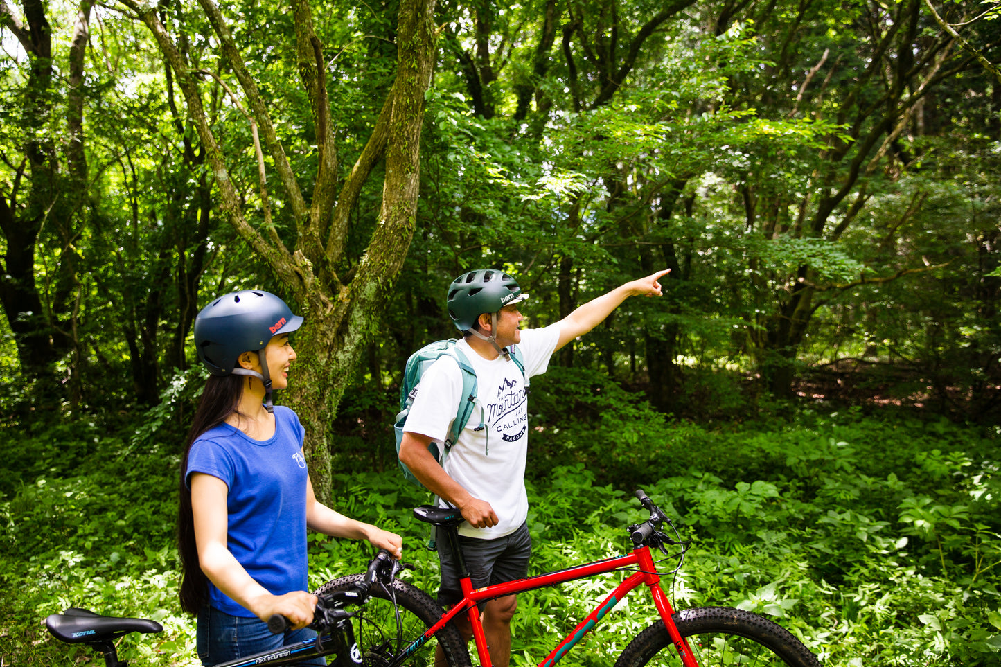Hakone 360° Pure Forest Outdoor Cruising Tour