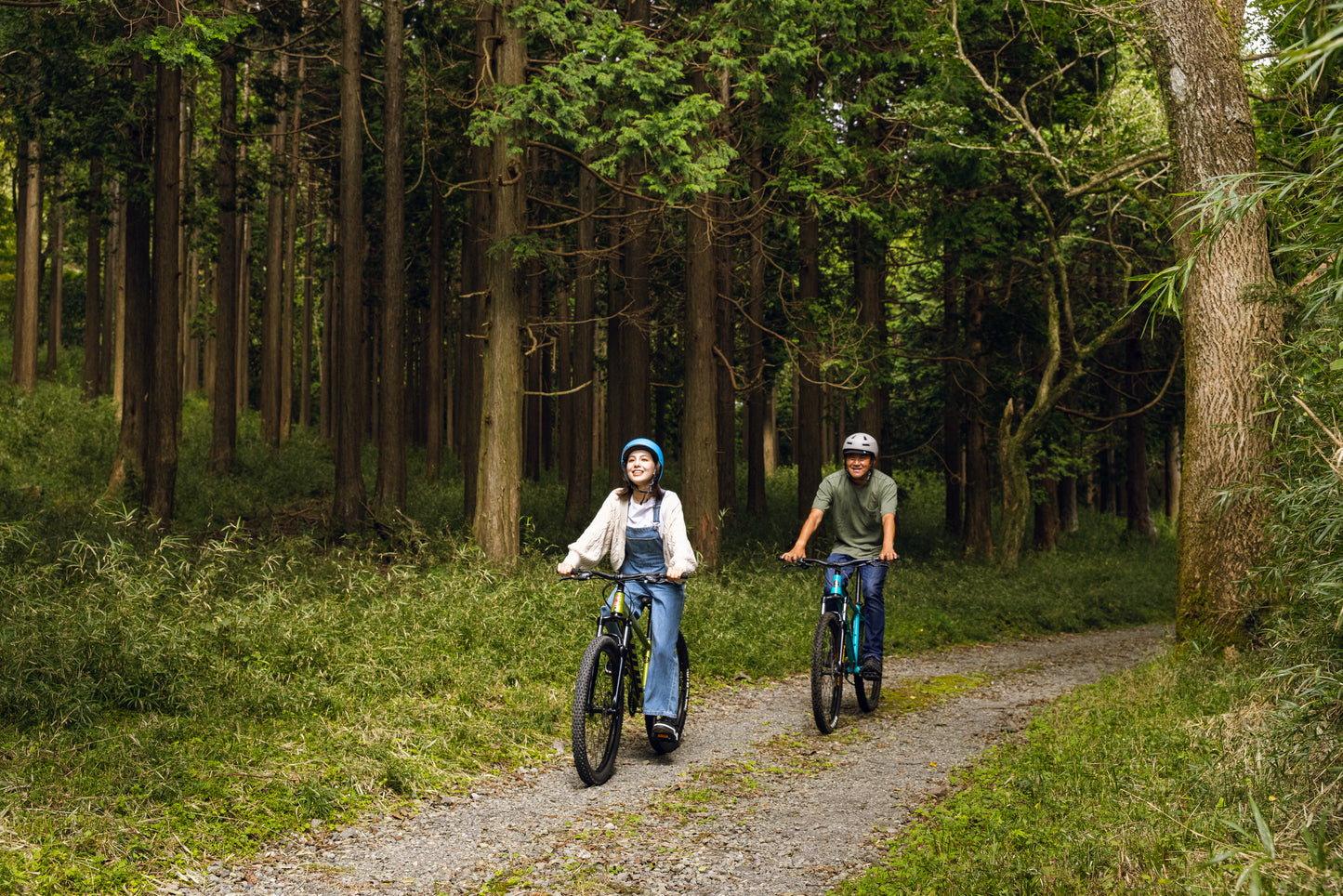 Hakone 360° Pure Forest Outdoor Cruising Tour