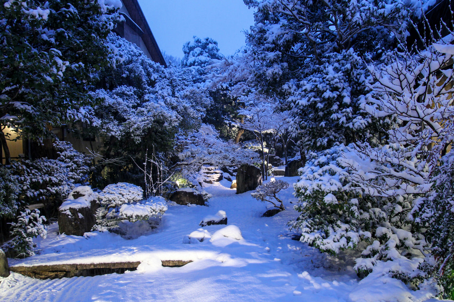 2018年1月22日初雪夜3