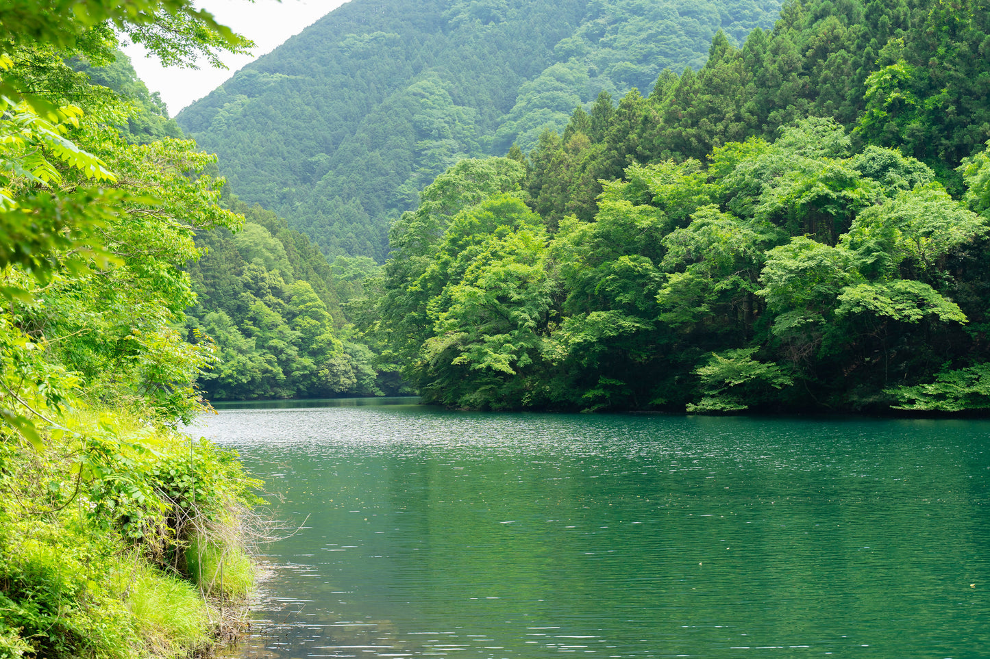 周辺風景-12.png のコピー のコピー