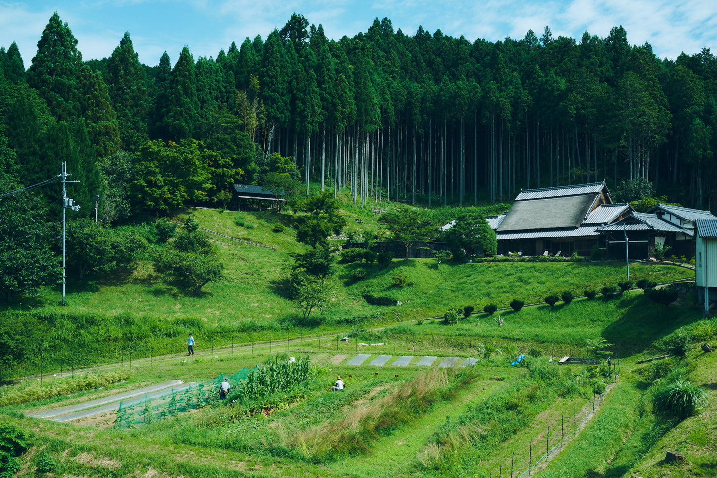 010_2407_yatakiya