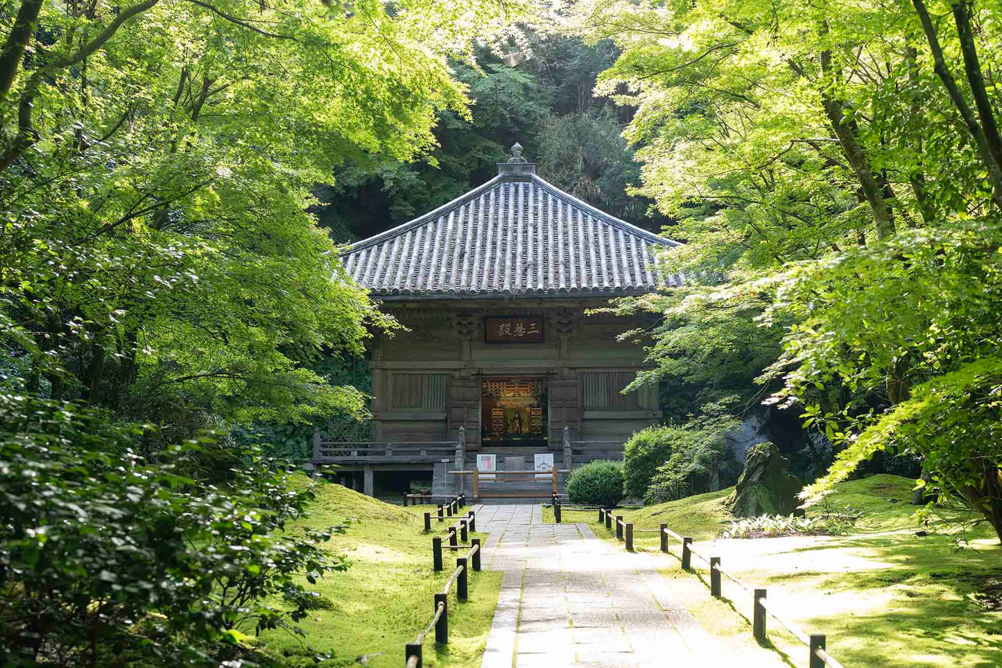 JAPAN YOGA RETREAT Sep. 28th - Oct. 4th, 2026 with Dagmar Spremberg