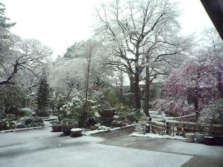 雪境内