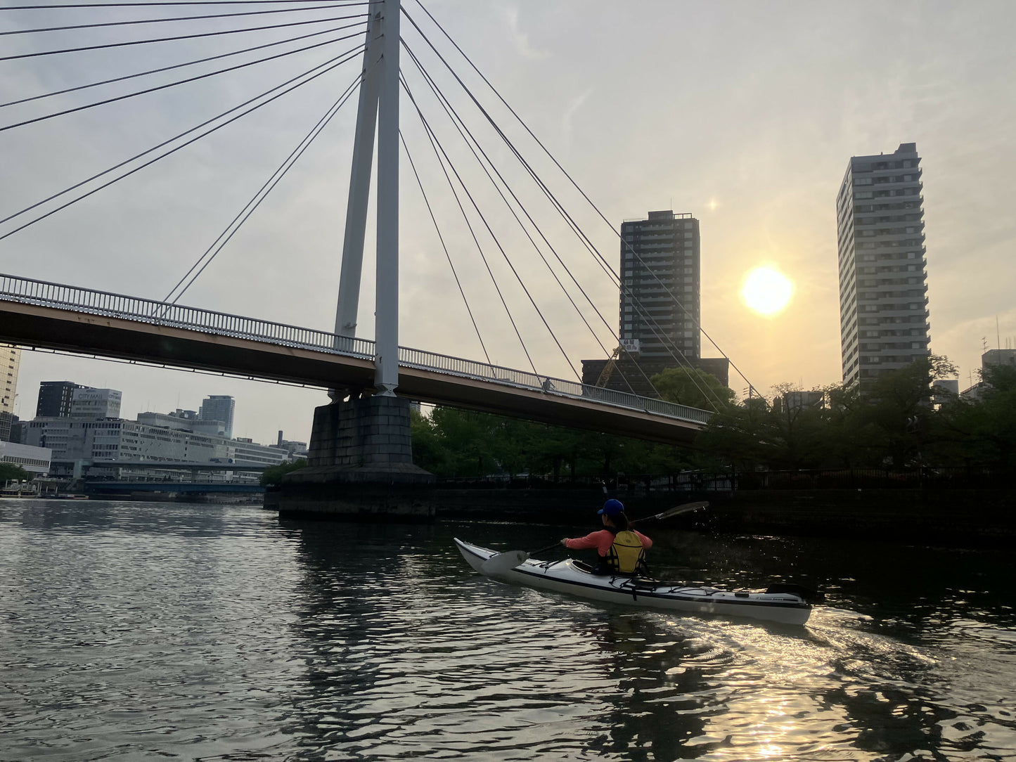 ナイトツアー4