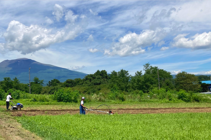 五感が目覚めるフルコース、プラントフル・ウェルネス・リトリート 2025 KARUIZAWA by Plantful Journey