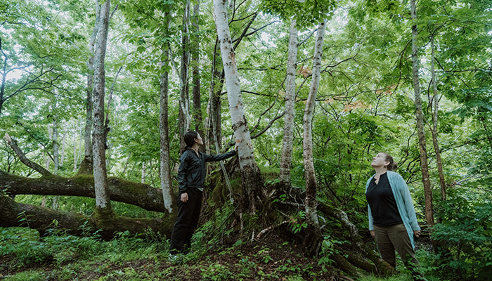 Northern Japan Solo Retreat | May 25-28, 2026 • 4 Days