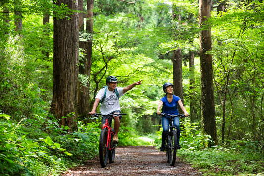 Hakone 360° Pure Forest Outdoor Cruising Tour