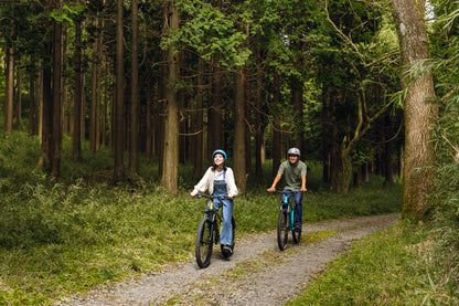Hakone 360° Pure Forest Outdoor Cruising Tour