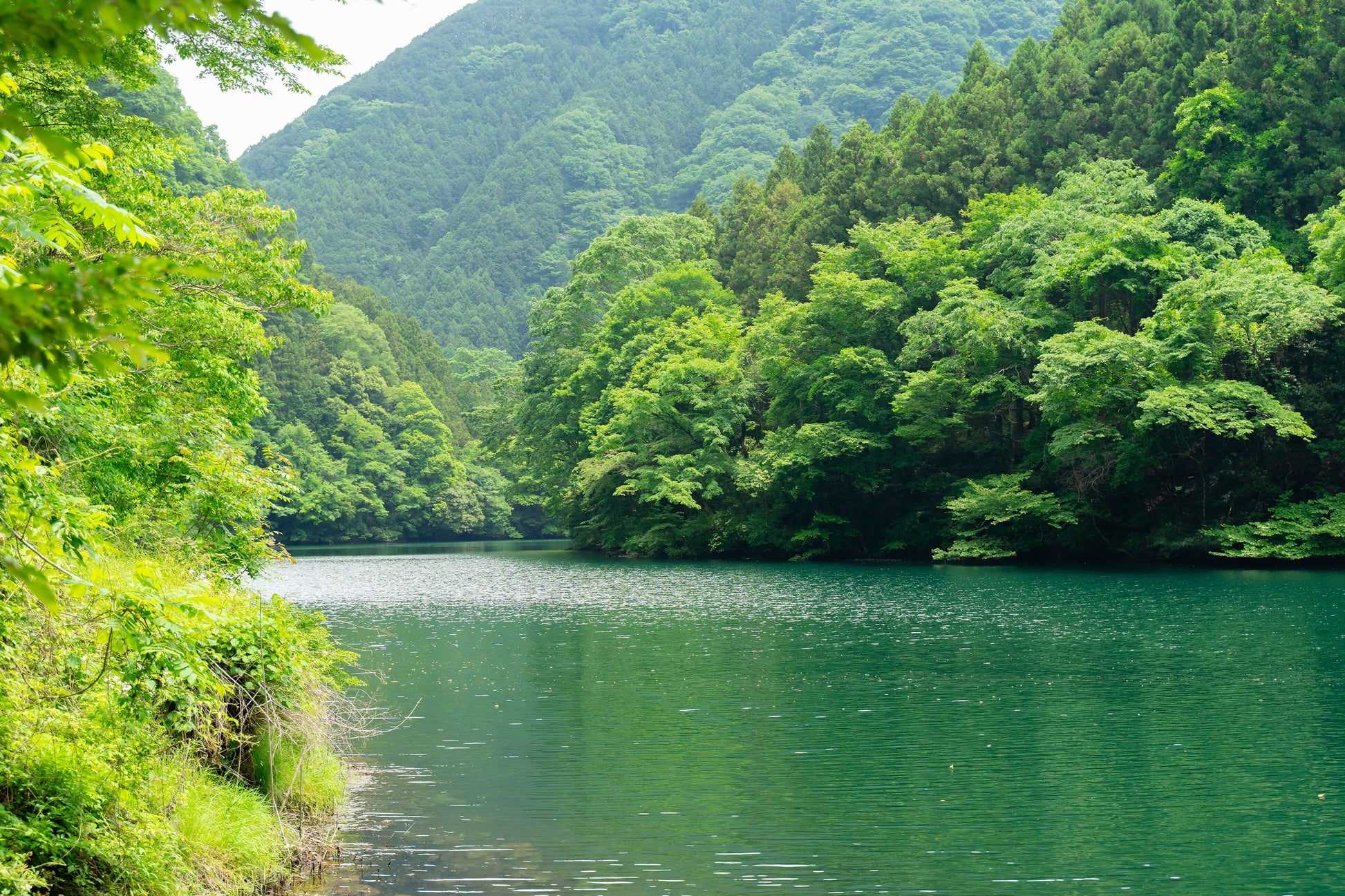 周辺風景-12.png のコピー のコピー