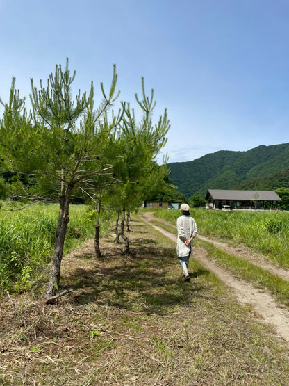 建物遠景２
