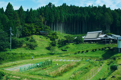 010_2407_yatakiya