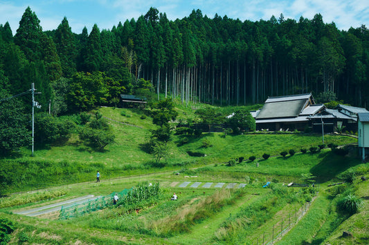 010_2407_yatakiya