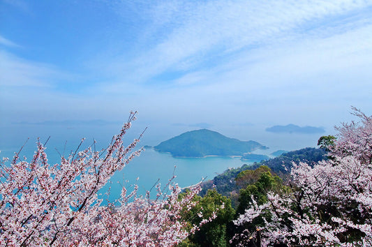 春の鞆の浦