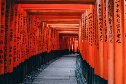 Kyoto Cultural Add-on: An Immersion into Tradition