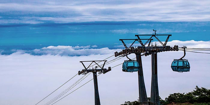 Northern Japan Solo Retreat | May 25-28, 2026 • 4 Days